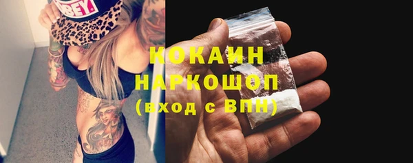 сатива Армянск