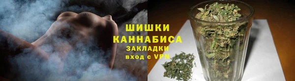 сатива Армянск