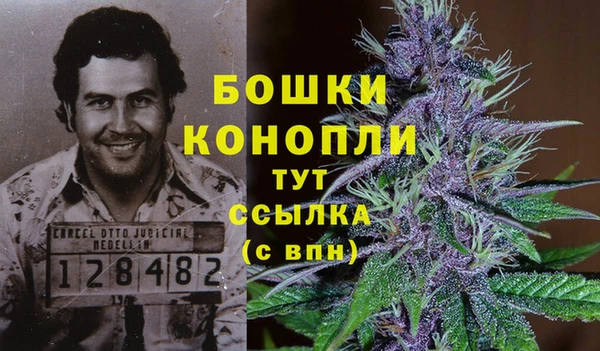 герыч Арсеньев