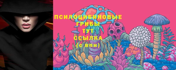 сатива Армянск